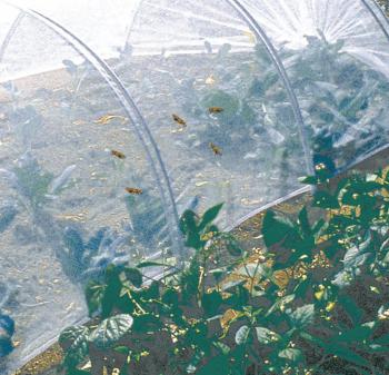 BIOCONTROL rovarvédő háló 2,2x10m fehér 2.Kép