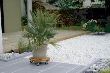 http://prenker.test.w2d.hu/media_ws/10002/2065/idx/intermas-flora-roll-lasure-lakkozott-kemenyfa-viragalatet-0-30-m-1.jpg