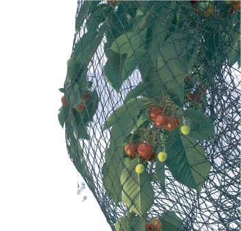 http://prenker.test.w2d.hu/media_ws/10005/2077/idx/intermas-pronet-rombusz-szemformaju-szott-muanyag-halo-5-x-6-m-1.jpg