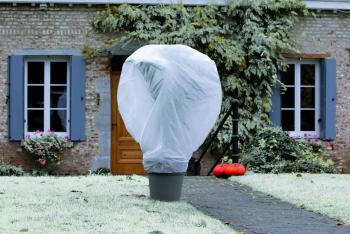 http://prenker.test.w2d.hu/media_ws/10008/2053/idx/intermas-wintertex-30-nem-szott-textilia-novenyek-fagykar-elleni-vedelmere-2-x-10-m.jpg